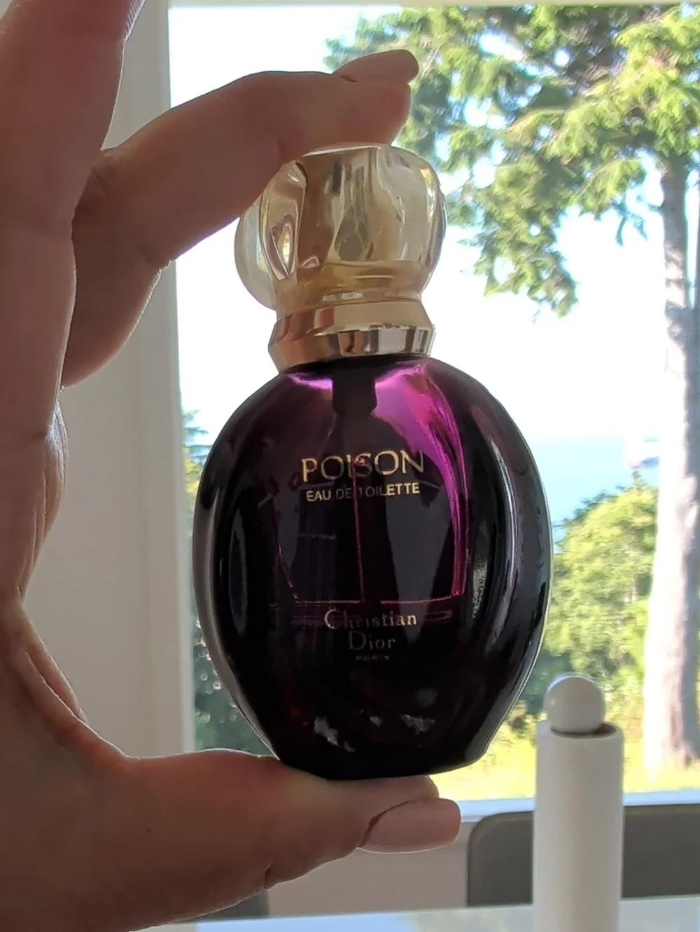 Vintage Christian Dior Poison Paris 1 oz. Eau De Toilet 30%